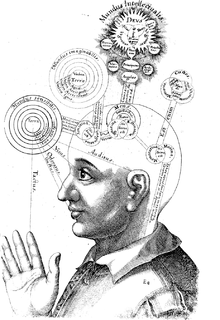Research project: Neural Correlates Of Consciousness