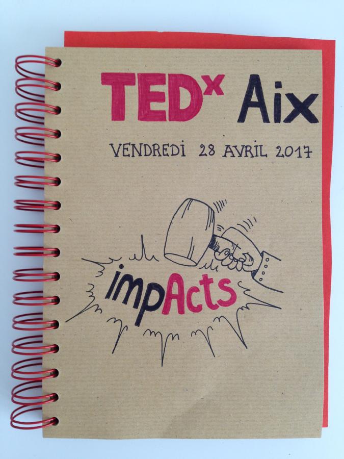 Prof. Cerf speaks at TEDxAix ("impActs") in Aix-en-Provence; sketchnote of the talk by Hélène Dib.