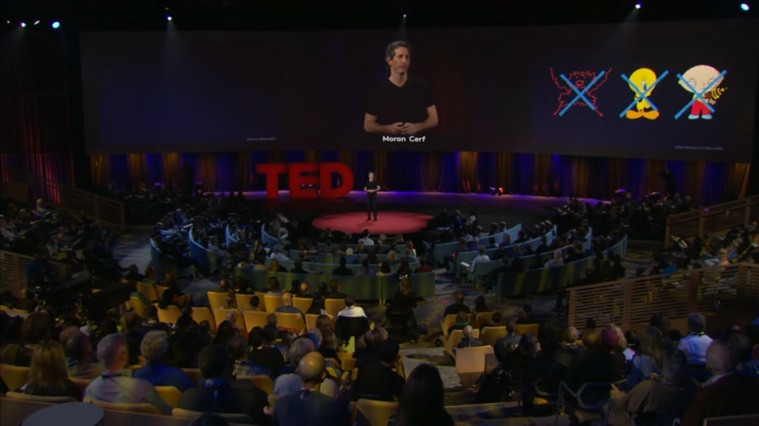 TED