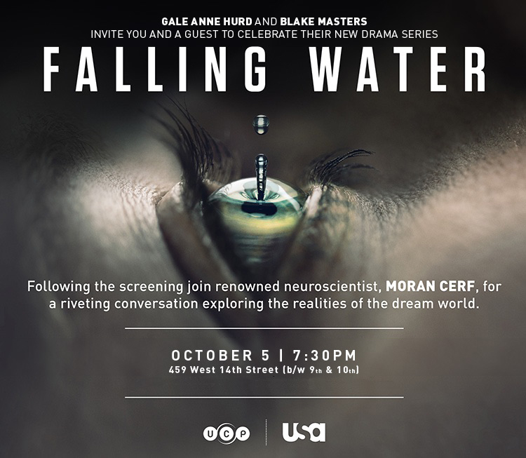 Falling Water