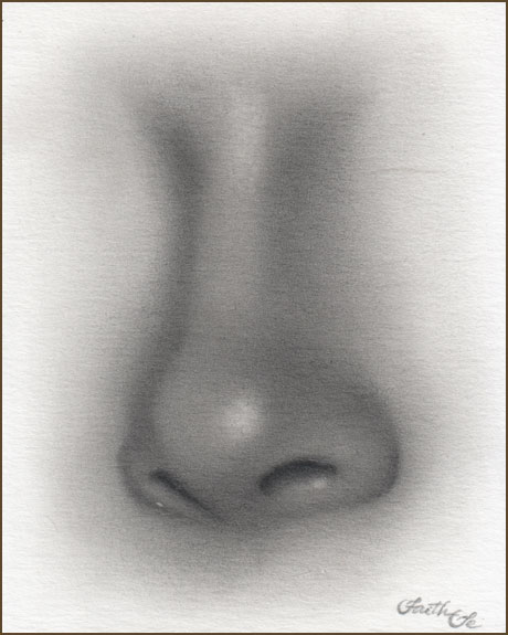 Research project: Olfactory Neural Coding